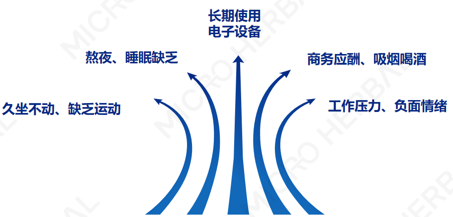 尊龙凯时--人生就是博-官网APP