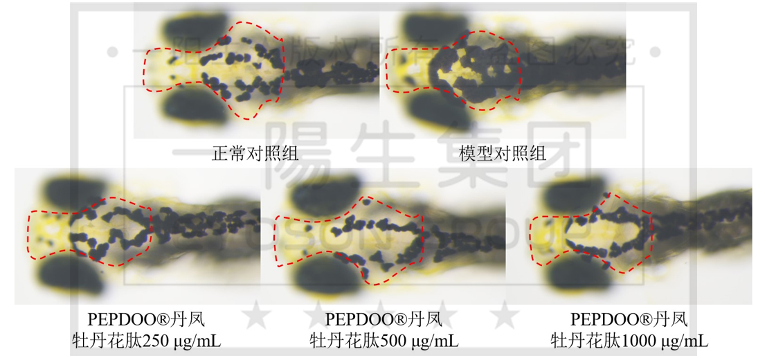 尊龙凯时--人生就是博-官网APP